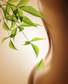 Ganzkörpermassage, Körpermassage, Wellness